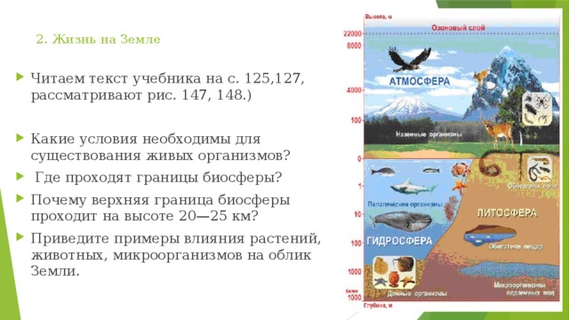 2. Жизнь на Земле   Читаем текст учебника на с. 125,127, рассматривают рис. 147, 148.) Какие условия необходимы для существования живых организмов?  Где проходят границы биосферы? Почему верхняя граница биосферы проходит на высоте 20—25 км? Приведите примеры влияния растений, животных, микроорганизмов на облик Земли. 