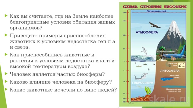 Как вы считаете, где на Земле наиболее благоприятные условия обитания живых организмов? Приведите примеры приспособления животных к условиям недостатка теп л а и света. Как приспособились животные и растения к условиям недостатка влаги и высокой температуры воздуха? Человек является частью биосферы? Каково влияние человека на биосферу? Какие животные исчезли по вине людей? 