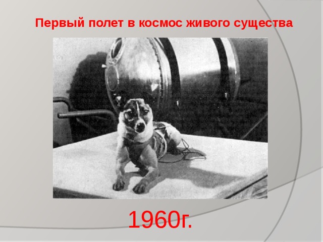 Первый полет в космос живого существа 1960г. 