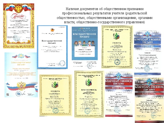Наличие документов об общественном признании профессиональных результатов учителя (родительской общественностью, общественными организациями, органами власти, общественно-государственного управления)