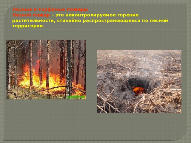 Лесные и торфяные пожары  Лесной пожар – это неконтролируемое горение растительности, стихийно распространяющееся по лесной территории. 