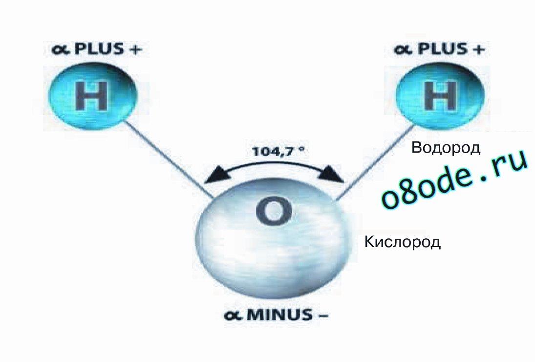 Части молекулы воды