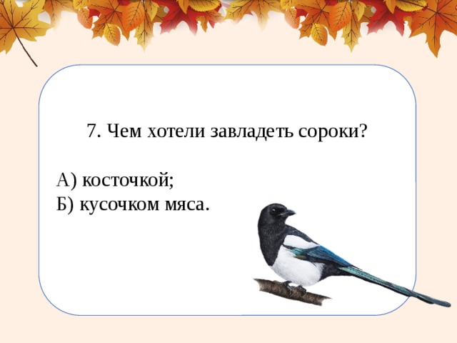 Выскочка 4 класс сорока вопрос зачем. Рисунок по рассказу выскочка 2 класс легкий.