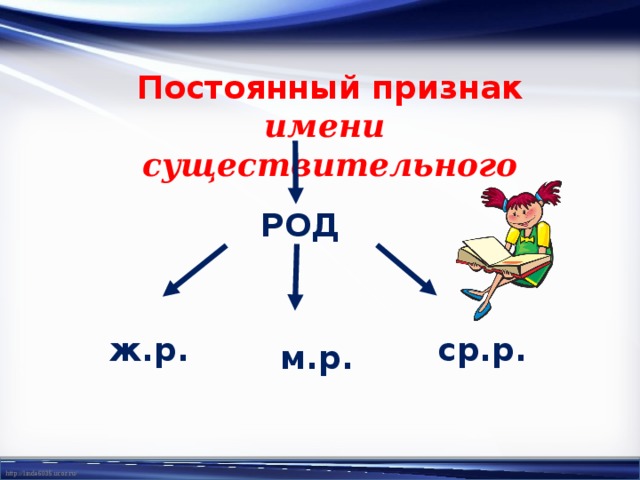 Признаки имени существительного. Род имён существительных 4 класс. Род это признак имени существительного. Существительные 4 класс. Существительное ж.р,м.р.,ср.р.