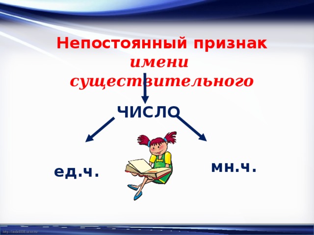 Непостоянный признак имени существительного ЧИСЛО мн.ч. ед.ч. 
