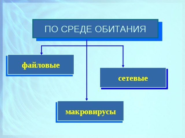 ПО СРЕДЕ ОБИТАНИЯ файловые сетевые макровирусы  