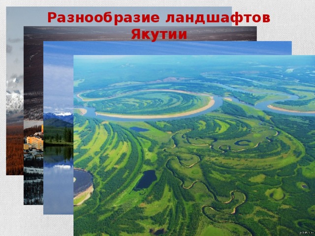 Разнообразие ландшафтов Якутии 
