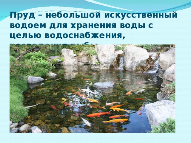 Презентация 2 класс водные богатства школа россии. Организмы искусственных малых водоемов.