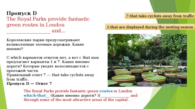 Пропуск D The Royal Parks provide fantastic green routes in London __________________ and .. . Королевские парки предусматривают великолепные зеленые дорожки. Какие именно? С which вариантов ответов нет, а вот с that нам предлагают варианты 1 и 7. Какие именно дороги? Которые уводят велосипедистов с проезжей части. Правильный ответ 7 — that take cyclists away from traffic. Пропуск D — Ответ 7 7-that take cyclists away from traffic 1-that are displayed during the nesting season The Royal Parks provide fantastic green routes in London which-that __  ( Какие именно дороги? )) ________________ and through some of the most attractive areas of the capital. 