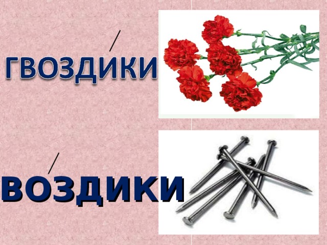 ГВОЗДИКИ 