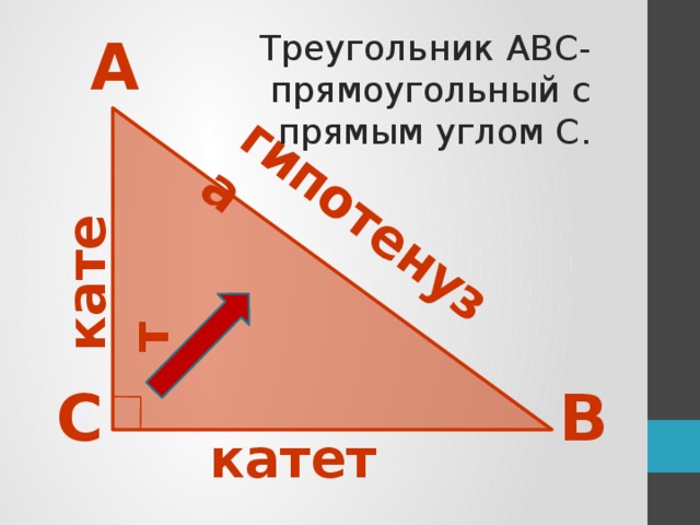 гипотенуза катет А Треугольник АВС-прямоугольный с прямым углом С. С В катет