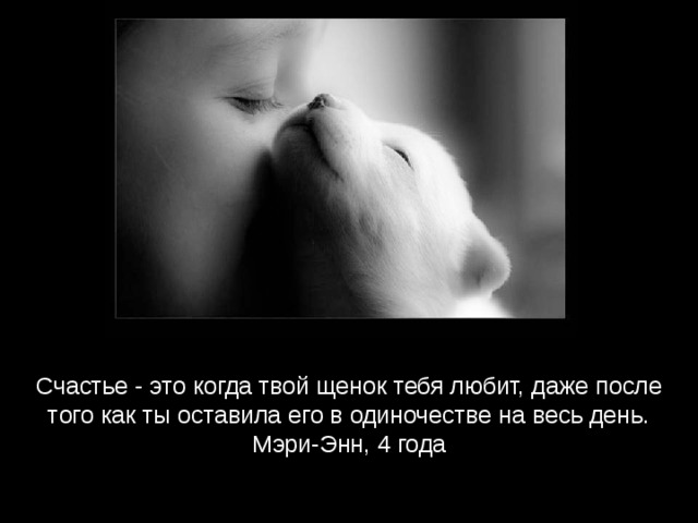 Счастье - это когда твой щенок тебя любит, даже после того как ты оставила его в одиночестве на весь день. Мэри-Энн, 4 года