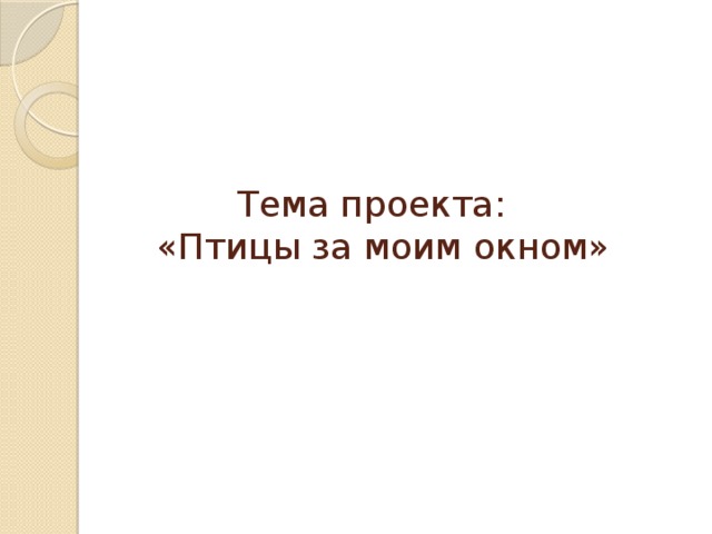 Тема проекта:    «Птицы за моим окном»   
