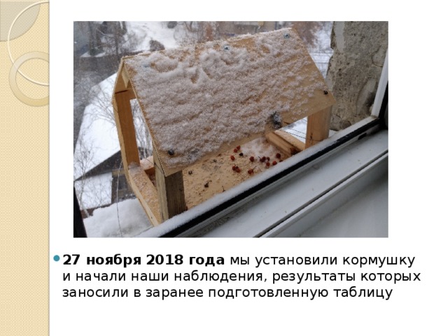27 ноября 2018 года мы установили кормушку и начали наши наблюдения, результаты которых заносили в заранее подготовленную таблицу 