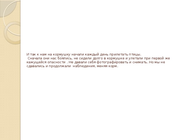 И так к нам на кормушку начали каждый день прилетать птицы.  Сначала они нас боялись, не сидели долго в кормушке и улетали при первой же кажущейся опасности . Не давали себя фотографировать и снимать. Но мы не сдавались и продолжали наблюдения, меняя корм.   