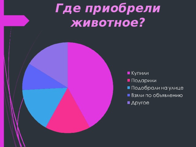 Где приобрели животное? 