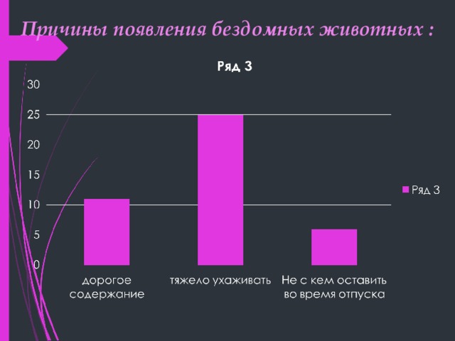 Причины появления бездомных животных : 