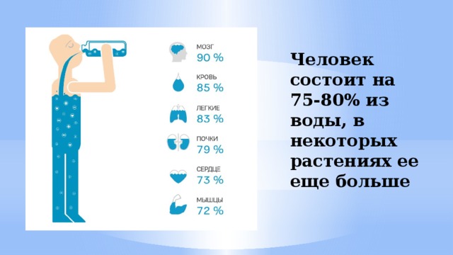 Человек состоит на 75-80% из воды, в некоторых растениях ее еще больше 