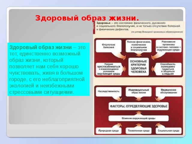  Здоровый образ жизни. Здоровый образ жизни – это тот, единственно возможный образ жизни, который позволяет нам себя хорошо чувствовать, живя в большом городе, с его неблагоприятной экологией и неизбежными стрессовыми ситуациями.  