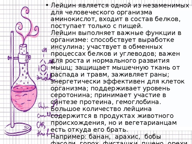 Лейцин является одной из незаменимых для человеческого организма аминокислот, входит в состав белков, поступает только с пищей.   Лейцин выполняет важные функции в организме: способствует выработке инсулина; участвует в обменных процессах белков и углеводов; важен для роста и нормального развития мышц; защищает мышечную ткань от распада и травм, заживляет раны; энергетически эффективен для клеток организма; поддерживает уровень серотонина; принимает участие в синтезе протеина, гемоглобина.  Большое количество лейцина содержится в продуктах животного происхождения, но и вегетарианцам есть откуда его брать.  Например: банан, арахис, бобы фасоли, горох, фисташки, пшено, орехи кешью, семена подсолнуха, кунжут, миндаль, грецкий орех, крупа кукурузная, фундук.   