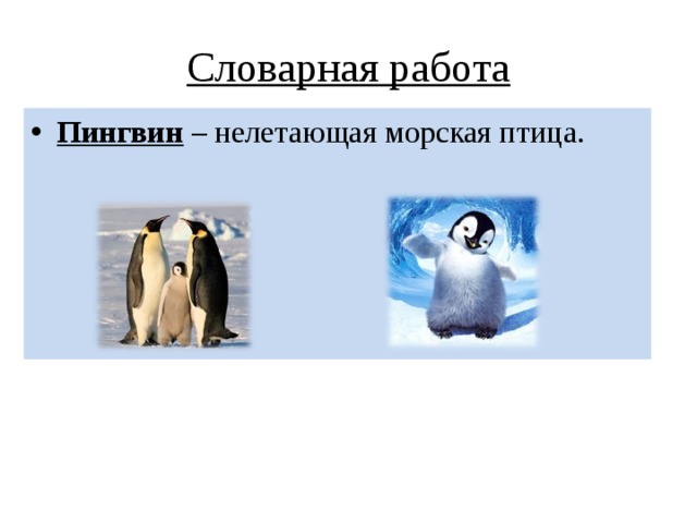 Словарная работа Пингвин – нелетающая морская птица.     