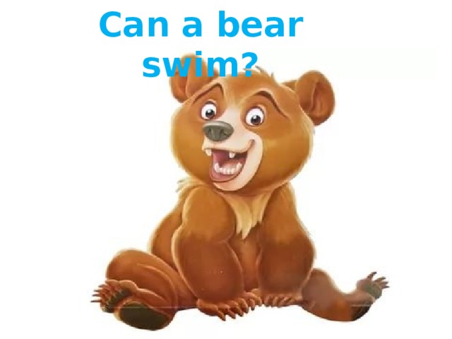 Can a bear swim? 