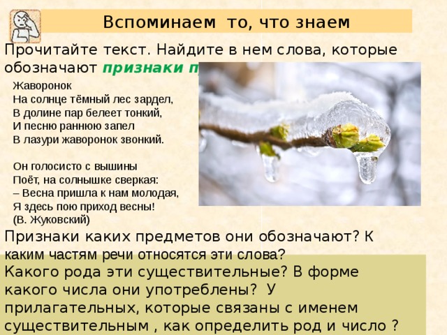 Вспоминаем  то, что знаем Прочитайте текст. Найдите в нем слова, которые обозначают признаки предметов . Жаворонок На солнце тёмный лес зардел, В долине пар белеет тонкий, И песню раннюю запел В лазури жаворонок звонкий. Он голосисто с вышины Поёт, на солнышке сверкая: – Весна пришла к нам молодая, Я здесь пою приход весны! (В. Жуковский) Признаки каких предметов они обозначают? К каким частям речи относятся эти слова? Какого рода эти существительные? В форме какого числа они употреблены? У прилагательных, которые связаны с именем существительным , как определить род и число ? Какой вывод можно сделать? 