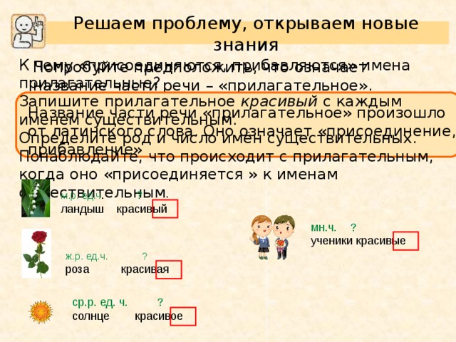 Решаем проблему, открываем новые знания К чему «присоединяются, прибавляются» имена прилагательные? Запишите прилагательное красивый с каждым именем существительным. Определите род и число имён существительных. Понаблюдайте, что происходит с прилагательным, когда оно «присоединяется » к именам существительным . Попробуйте предположить, что означает название части речи – «прилагательное». Название части речи «прилагательное» произошло от латинского слова. Оно означает «присоединение, прибавление»  м.р. ед.ч . ?  ландыш красивый мн.ч. ? ученики красивые ж.р. ед.ч. ? роза красивая ср.р. ед. ч. ? солнце красивое 