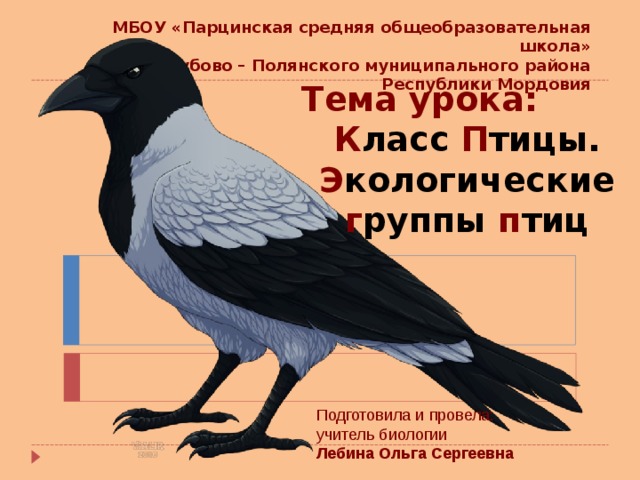 МБОУ «Парцинская средняя общеобразовательная школа» Зубово – Полянского муниципального района Республики Мордовия Тема урока: К ласс П тицы. Э кологические г руппы п тиц Подготовила и провела: учитель биологии Лебина Ольга Сергеевна 