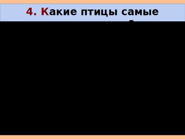 4. К акие птицы самые интересные? 