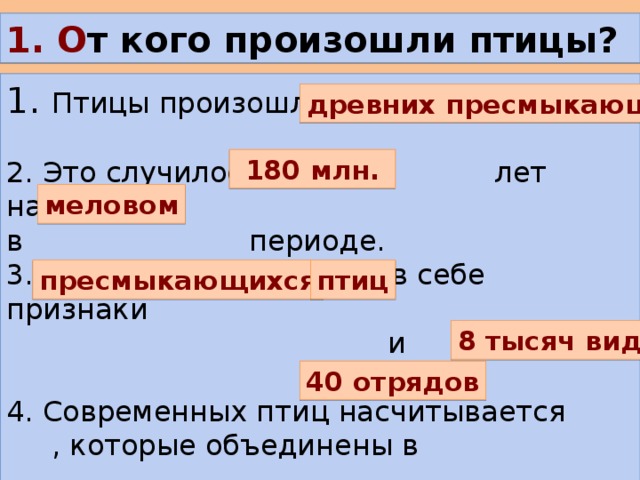  О т кого произошли птицы? 1. Птицы произошли от 2. Это случилось лет назад, в периоде. 3. Археоптерикс сочетал в себе признаки  и   4. Современных птиц насчитывается , которые объединены в древних пресмыкающихся  180 млн.  меловом пресмыкающихся птиц 8 тысяч видов 40 отрядов 
