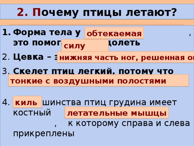 2. П очему птицы летают? Форма тела у птиц , это помогает преодолеть 2. Цевка – это 3. Скелет птиц легкий, потому что кости  У большинства птиц грудина имеет костный  , к которому справа и слева прикреплены обтекаемая силу трения нижняя часть ног, решенная оперения тонкие с воздушными полостями киль летательные мышцы 