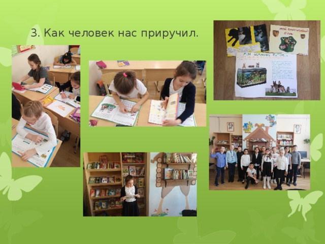 такие разные собаки такие разные кошки. Смотреть фото такие разные собаки такие разные кошки. Смотреть картинку такие разные собаки такие разные кошки. Картинка про такие разные собаки такие разные кошки. Фото такие разные собаки такие разные кошки