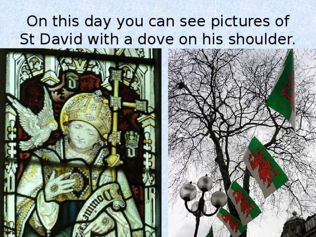 On this day you can see pictures of St David with a dove on his shoulder. 