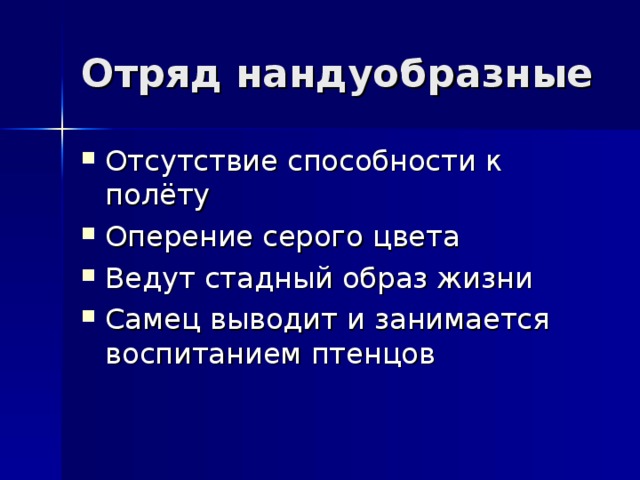 Отряд нандуобразные Отсутствие способности к полёту Оперение серого цвета Ведут стадный образ жизни Самец выводит и занимается воспитанием птенцов 