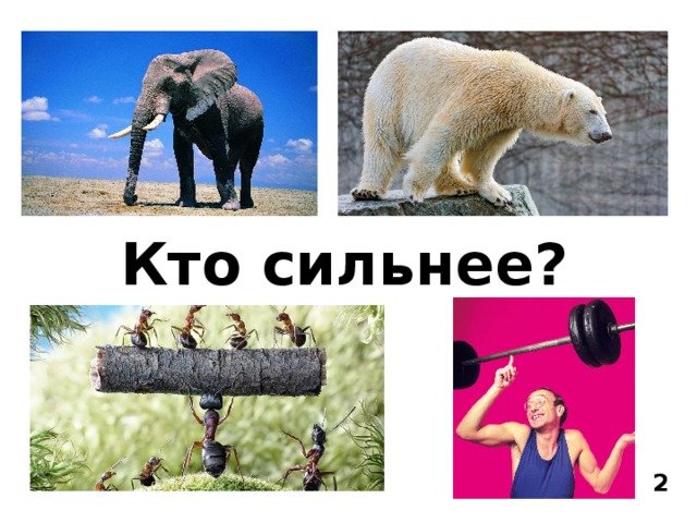 Кто сильнее. Кто сильнее картинки. Кто сильнее всех на свете. Кто сильнее схема.