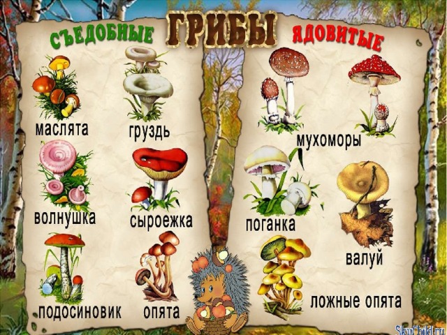 Презентация урока безопасности на летних каникулах