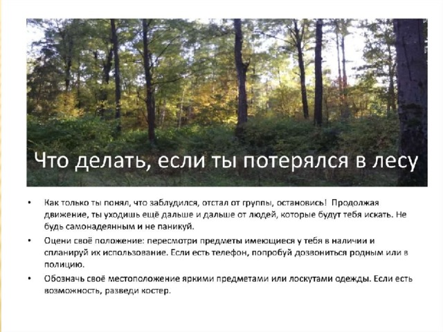 Презентация урока безопасности на летних каникулах