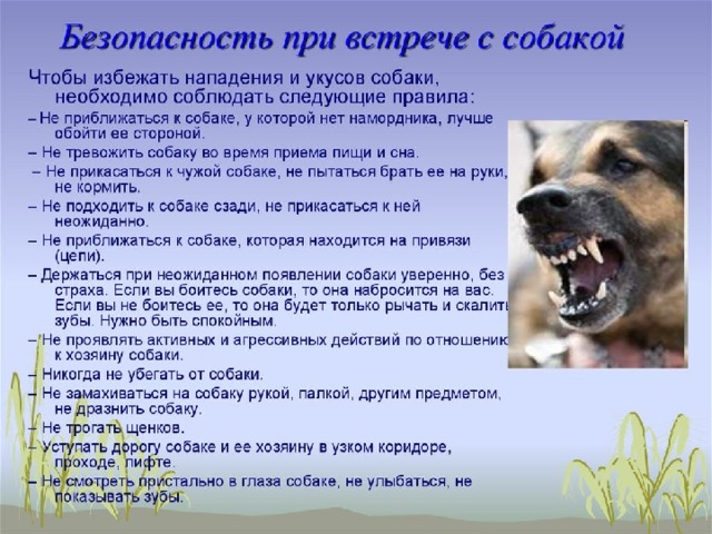 Презентация урока безопасности на летних каникулах