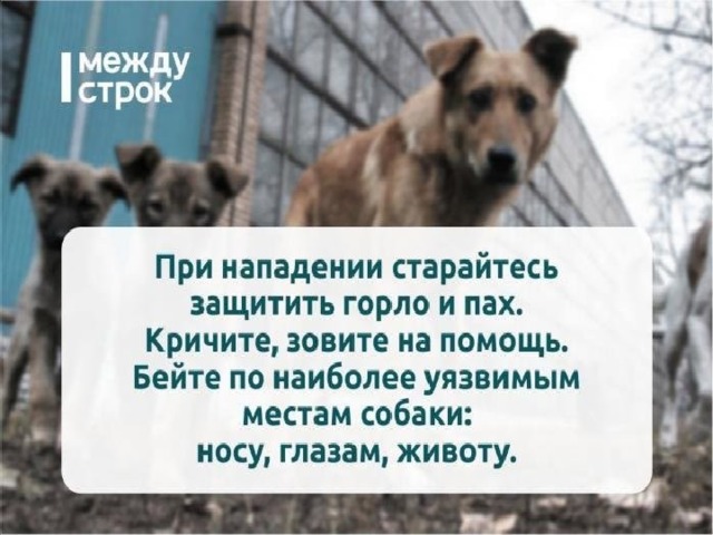 Презентация урока безопасности на летних каникулах