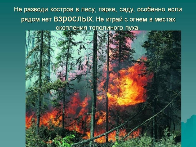 Презентация урока безопасности на летних каникулах