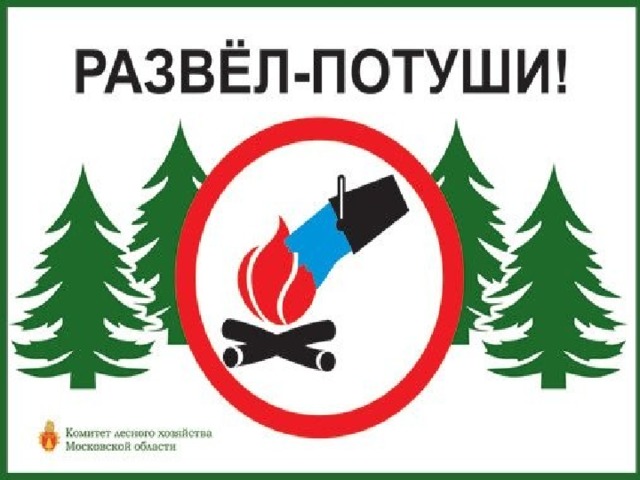 Презентация урока безопасности на летних каникулах