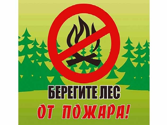 Презентация урока безопасности на летних каникулах