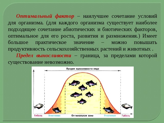  Оптимальный фактор – наилучшее сочетание условий для организма. (для каждого организма существует наиболее подходящее сочетание абиотических и биотических факторов, оптимальное для его роста, развития и размножения.) Имеет большое практическое значение – можно повышать продуктивность сельскохозяйственных растений и животных .  Предел выносливости – граница, за пределами которой существование невозможно. 