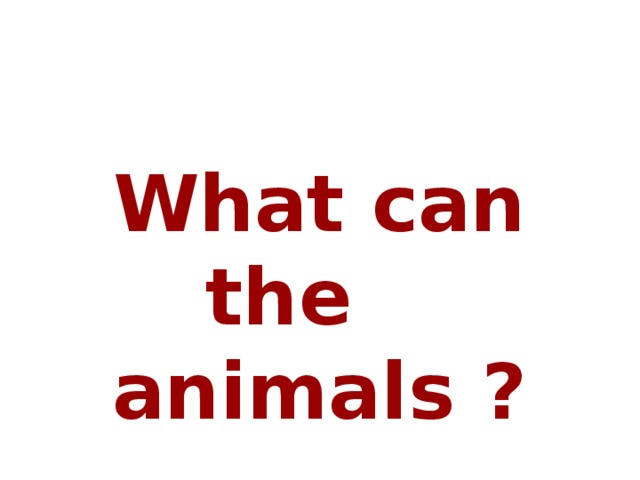 What can the animals ?