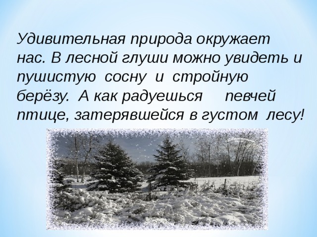 Удивительная природа окружает нас. В лесной глуши можно увидеть и пушистую сосну и стройную берёзу. А как радуешься певчей птице, затерявшейся в густом лесу!   