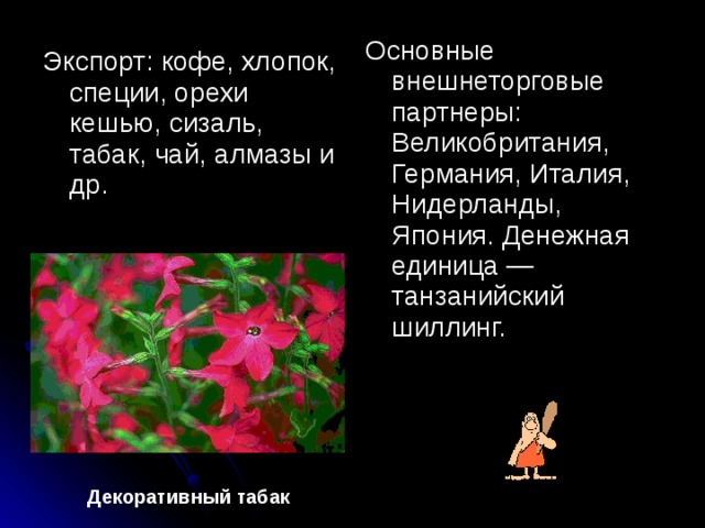 Основные внешнеторговые партнеры: Великобритания, Германия, Италия, Нидерланды, Япония. Денежная единица — танзанийский шиллинг. Экспорт: кофе, хлопок, специи, орехи кешью, сизаль, табак, чай, алмазы и др. Декоративный табак