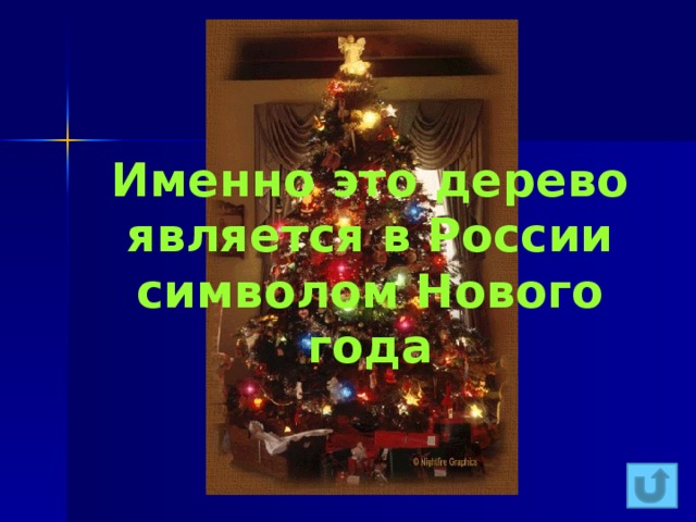 Именно это дерево является в России символом Нового года 