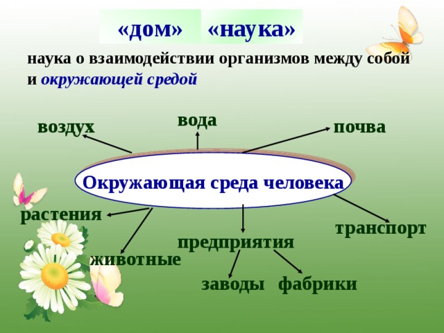 «наука» Экология «дом» наука о взаимодействии организмов между собой и окружающей средой вода воздух почва Окружающая среда человека растения транспорт предприятия животные  заводы фабрики 