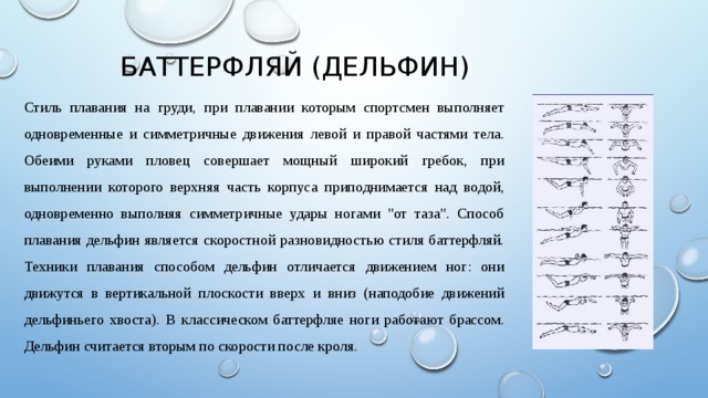 Баттерфляй (дельфин) Стиль плавания на груди, при плавании которым спортсмен выполняет одновременные и симметричные движения левой и правой частями тела. Обеими руками пловец совершает мощный широкий гребок, при выполнении которого верхняя часть корпуса приподнимается над водой, одновременно выполняя симметричные удары ногами 